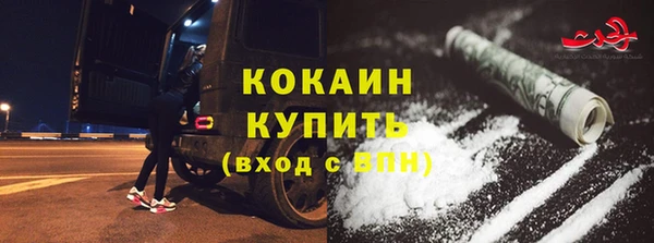 индика Чердынь