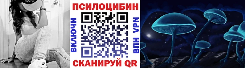 даркнет сайт  Жиздра  Галлюциногенные грибы Psilocybe 
