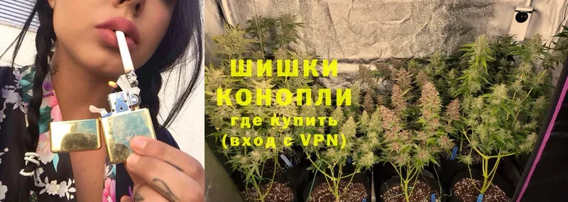 Марихуана White Widow  купить  сайты  Жиздра 